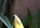 img00034