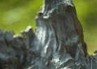 img00038