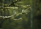 img00039