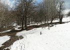 img00053