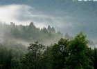 img00057