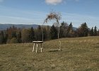 img00058