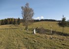 img00059