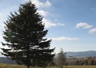 img00060