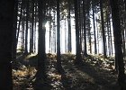 img00062