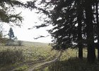 img00067