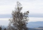 img00068