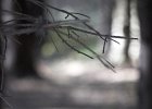 img00075