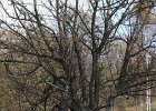 img00078