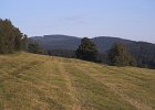 img00079