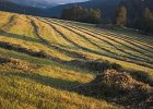 img00082