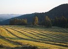 img00084