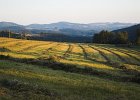 img00085