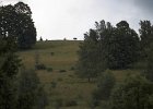 img00090
