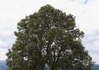img00091