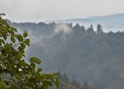 img00099
