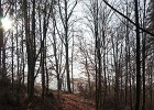 img00100