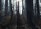 img00102