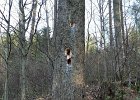 img00109