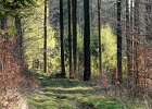 img00111