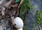 img00113