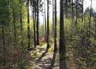 img00116