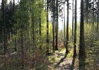 img00118