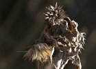 img00119