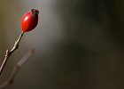 img00121