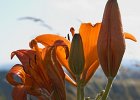 img00124