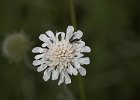 img00128