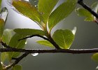img00134