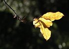 img00142