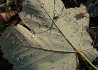 img00143