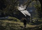 img00154