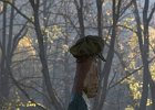 img00155