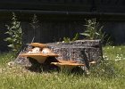 img00170